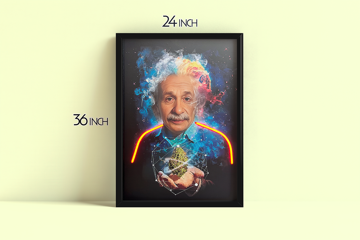 Relativity Professor - Framed Canvas Art w/ LED